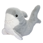 Douglas Surfer Shark