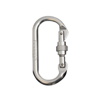 Cypher Oval Screw Gate Bright Carabiner