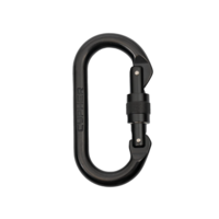 Cypher Oval Screw Gate Black Carabiner