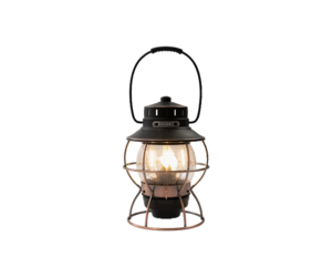 https://cdn.shoplightspeed.com/shops/610437/files/52168512/300x250x2/barebones-railroad-lantern.jpg