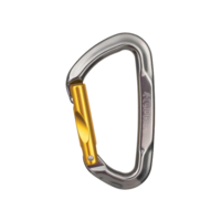 Cypher Vesta Straight Gate Carabiner