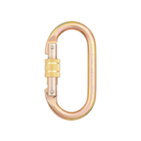 Cypher G Series Steel Oval Screw Gate Carbiner