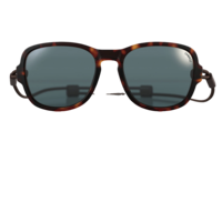 Ombraz Teton Polarized Sunglasses