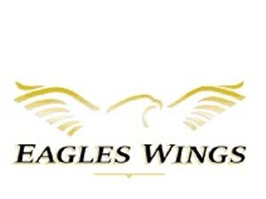 Eagles Wings Neck Tie