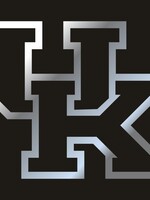 Craftique LICENSE PLATE, BLACK/SILVER, UK