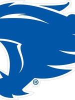 Craftique CAR MAGNET, NEW LOGO, 6 INCH, UK