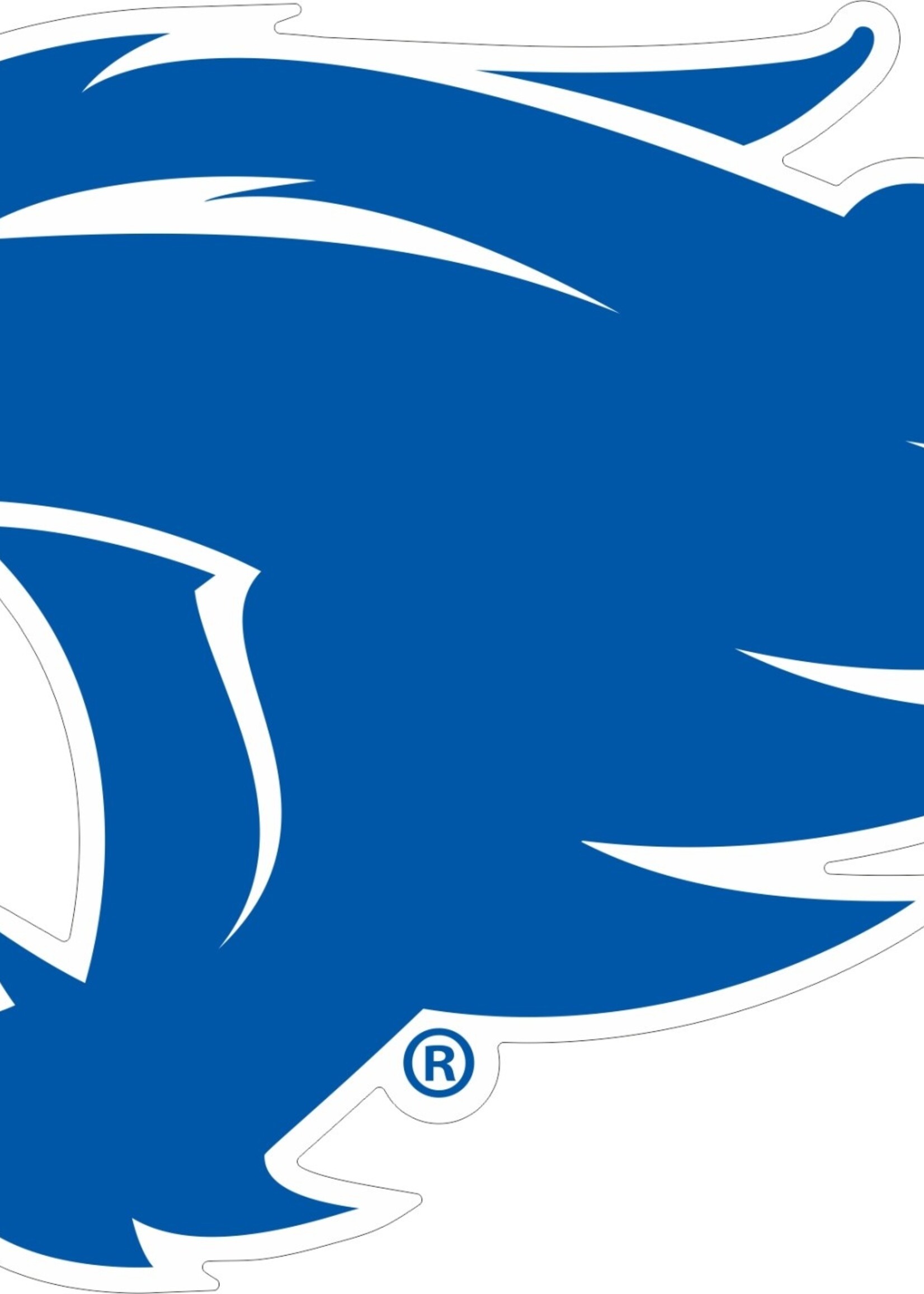 Craftique CAR MAGNET, NEW LOGO, 6 INCH, UK