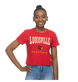Louisville Cardinals Scatter Doodle Women'S/Juniors Team Short Sleeve V  Neck Tee Shirt 