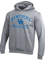 Champion Products HOODY, YOUTH, POWER 22, GREY, UK