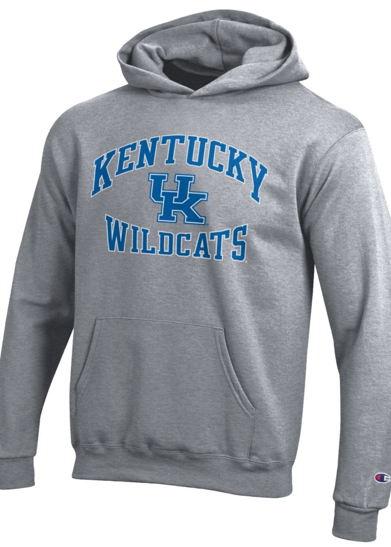 Champion Products HOODY, YOUTH, POWER 22, GREY, UK