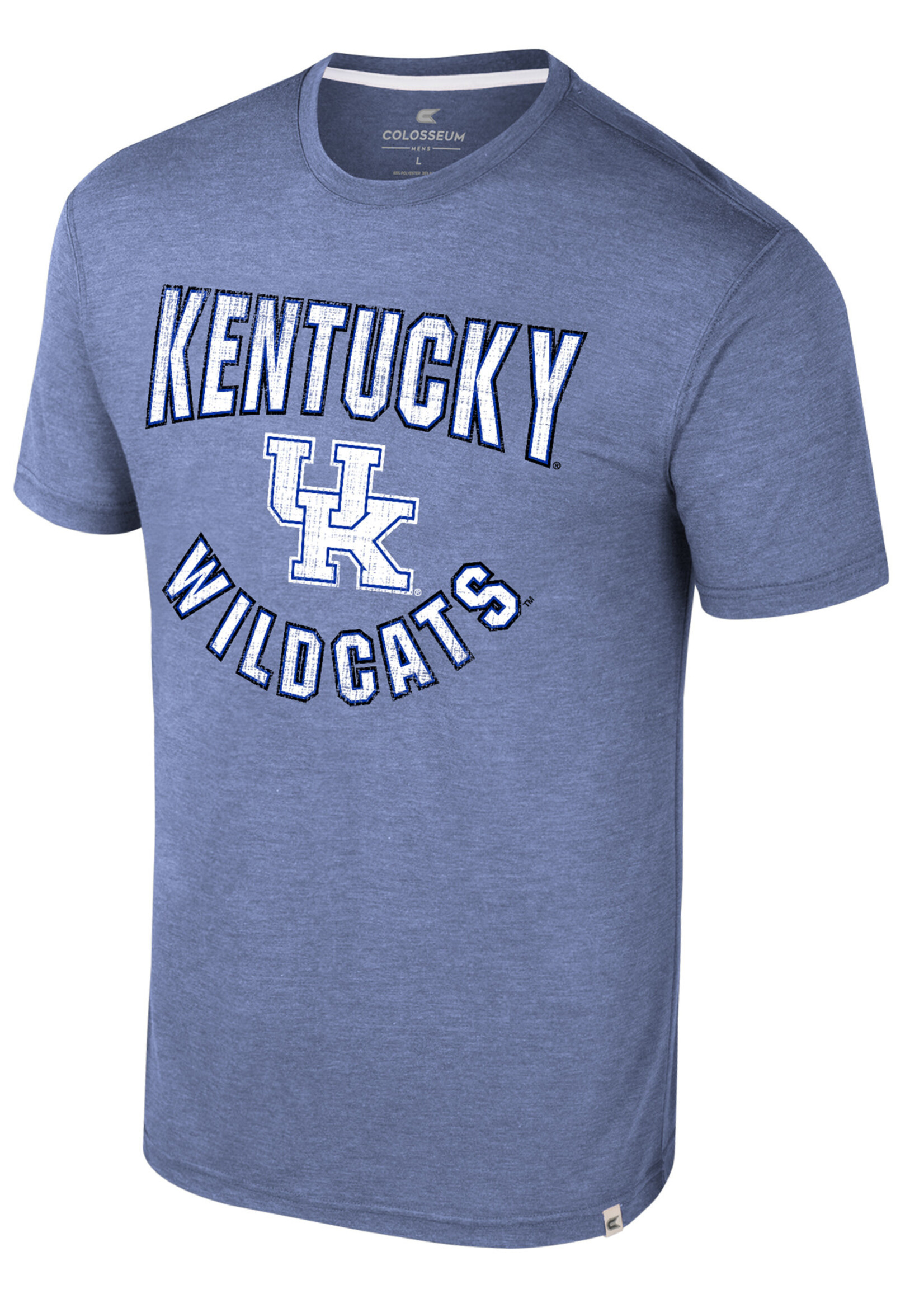 Colosseum Athletics TEE, SS, VIRTUAL REALITY, ROYAL, UK