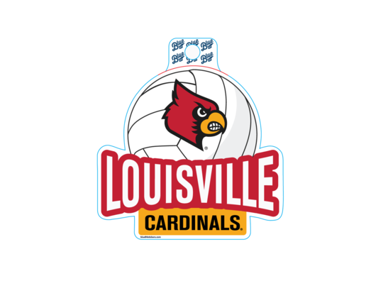 VOLLEYBALL CHAMPIONSHIP