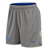Nike Team Sports SHORT, REVERSIBLE, NIKE, ROYAL/GRAY, UK