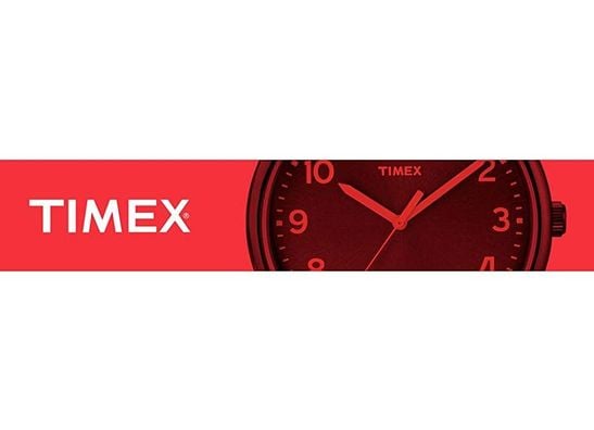 TIMEX GROUP