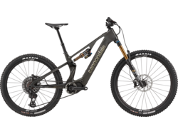 Cannondale Moterra SL 1, Raw