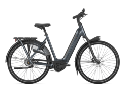 Gazelle Bicycles Arroyo C5