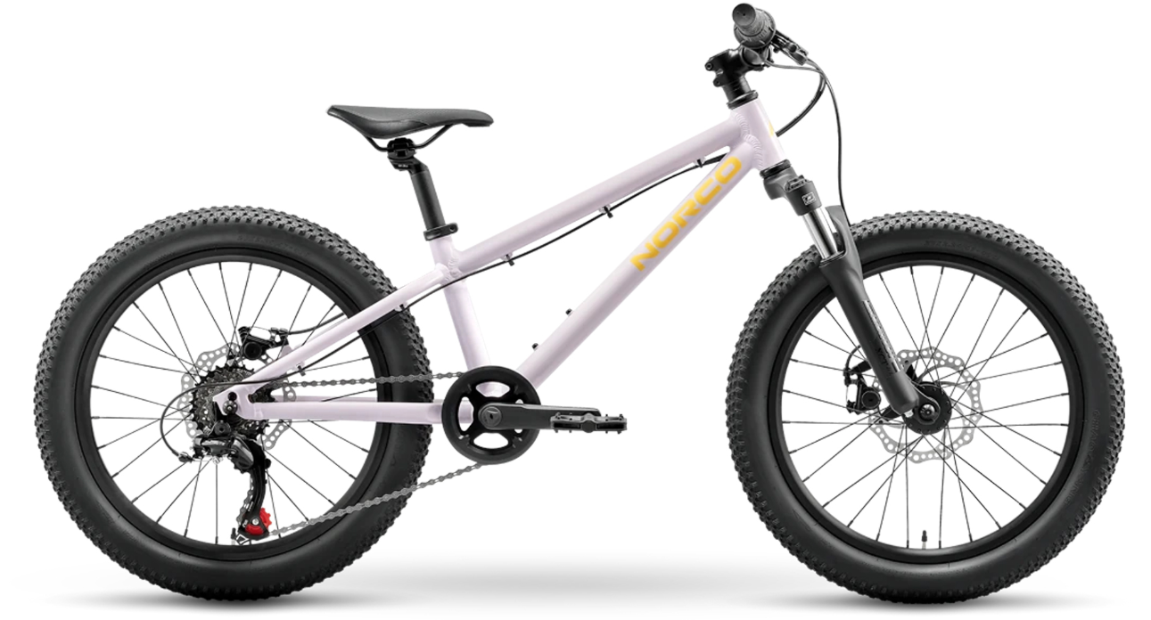 Norco Bicycles Storm 20''