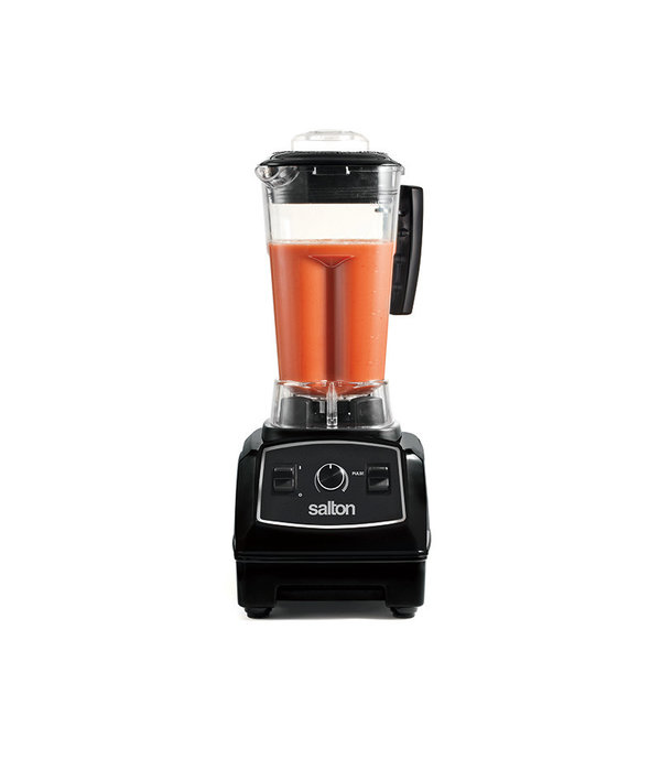 Salton Harley Pasternak Power Blender