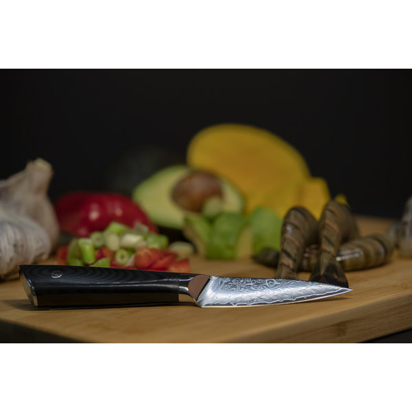 Set 2 Couteaux d'Office, un Couteau à Tomate et un Epluche Légumes Swiss  Classic Victorinox :achat, vente - Cuisine Addict