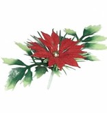 Vincent Sélection Vincent Sélection PICKS - POINSETTIA