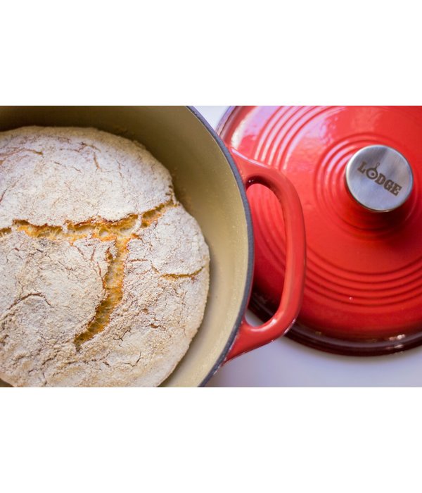 Lodge Lodge 6 Quart Red Enameled Cast Iron Dutch Oven