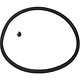 Sealing Ring (  )