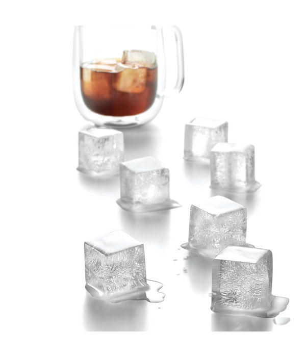 Ricardo Ricardo Set of 2 Ice Cube Trays