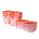 Russbe Reusable Snack & Sandwich Bags - Set of 4 Orange