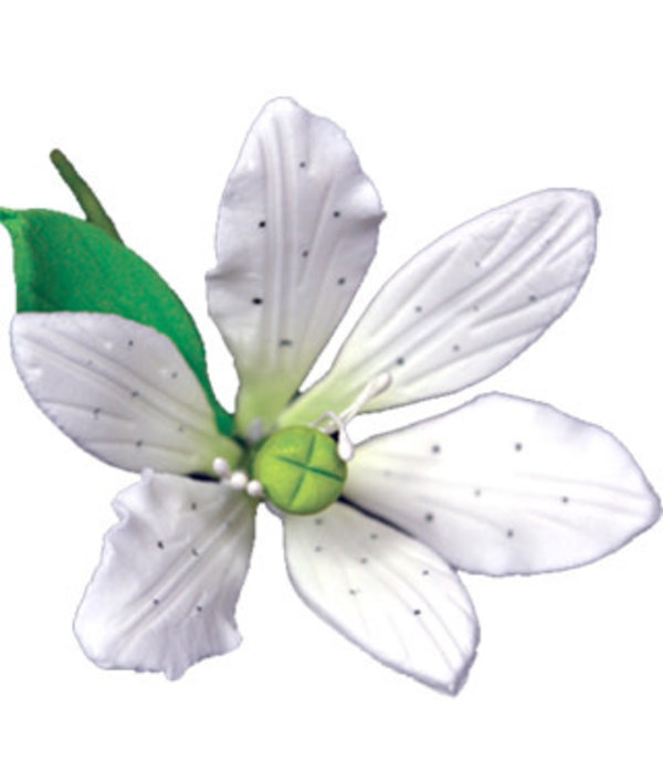 Vincent Sélection Vincent Sélection Gumpaste flowers - Small White Exotic Lilies