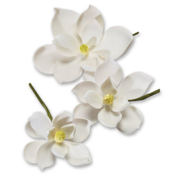 Vincent Sélection Gumpaste flowers - White Magnolia