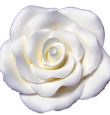 Vincent Sélection Pâte à Gomme Grande rose blanche de Vincent Sélection