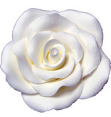 Vincent Sélection Pâte à Gomme Grande rose blanche de Vincent Sélection
