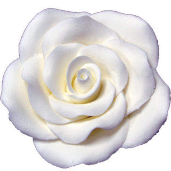 Pâte à Gomme Grande rose blanche de Vincent Sélection