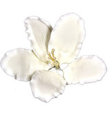 Vincent Sélection Vincent Sélection Gumpaste flowers - White Gladiola 4"
