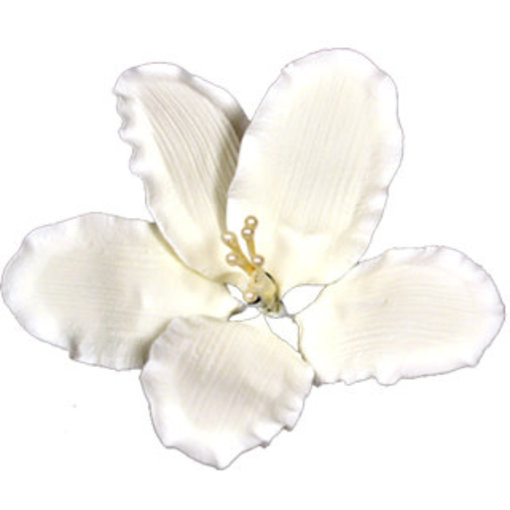 Vincent Sélection Vincent Sélection Gumpaste flowers - White Gladiola 4"