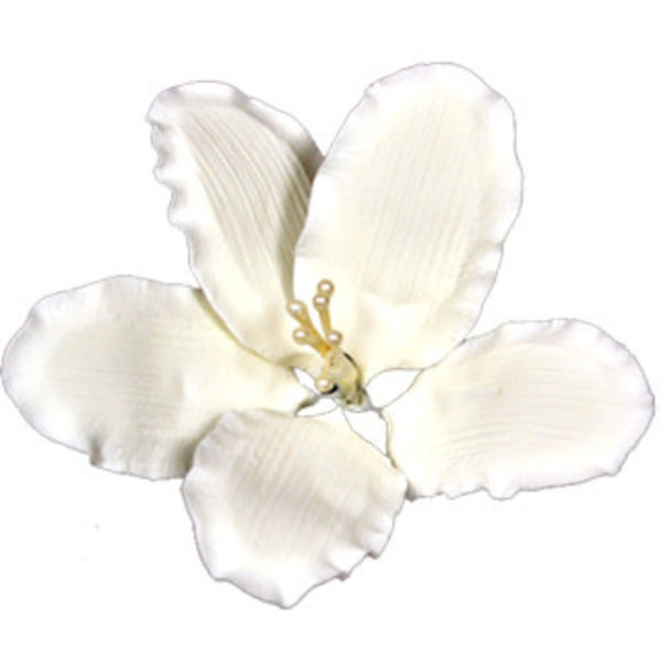 Vincent Sélection Gumpaste flowers - White Gladiola 4"