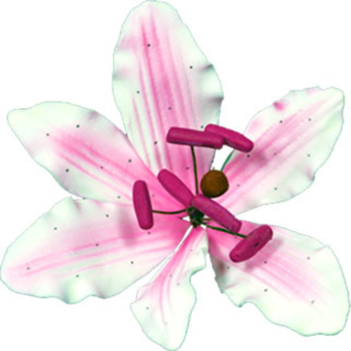 Vincent Sélection Vincent Sélection Gumpaste flowers - Small Pink Lily