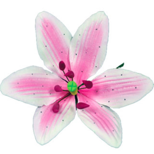 Vincent Sélection Vincent Sélection Gumpaste flowers - Small Pink Stargazer Lily