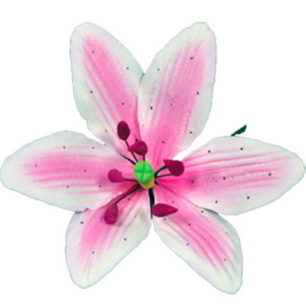 Vincent Sélection Gumpaste flowers - Small Pink Stargazer Lily