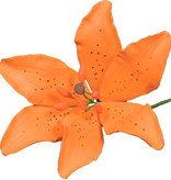 Vincent Sélection Vincent Sélection Gumpaste flowers - Orange Tiger Lily