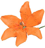 Vincent Sélection Vincent Sélection Gumpaste flowers - Orange Tiger Lily