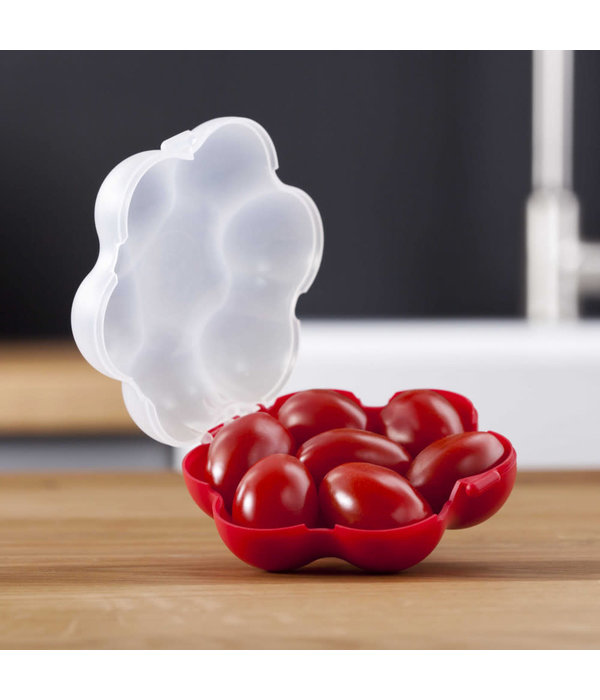 Tomorrow's Kitchen Cherry or Grape Tomato Case, 7 Cavity Red