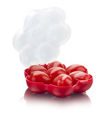 Tomorrow's Kitchen Tomorrow's Kitchen Cherry or Grape Tomato Case, 7 Cavity Red