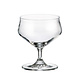 Ensemble de 6 Coupes à Dessert, 240 ml de Crystalite Bohemia