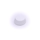 Grandes caissettes blanches 7 cm (50) de Fox Run