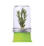 Jarware Herb Saver