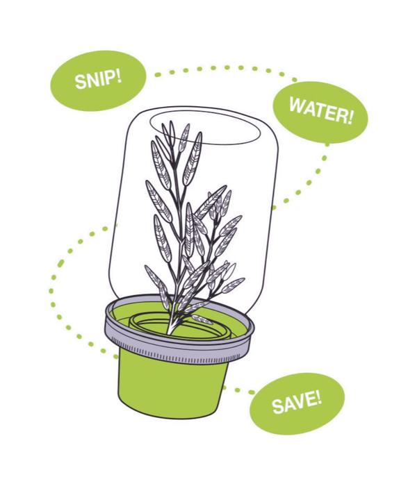 Jarware Herb Saver