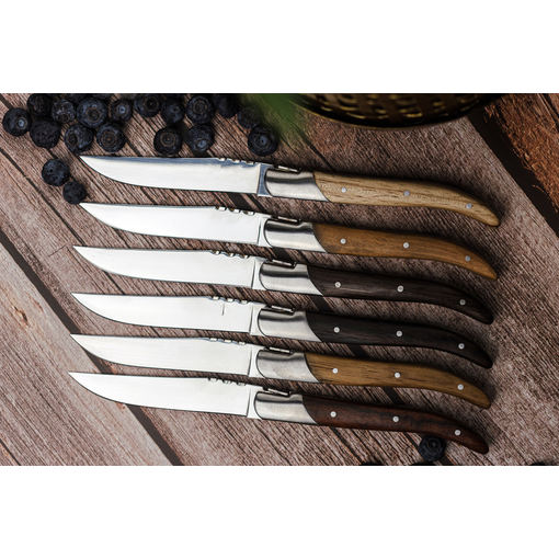 Laguiole du Monde Set of 6 steak knives with assorted wood handles