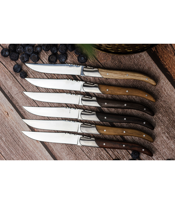 Laguiole du Monde Set of 6 steak knives with assorted wood handles