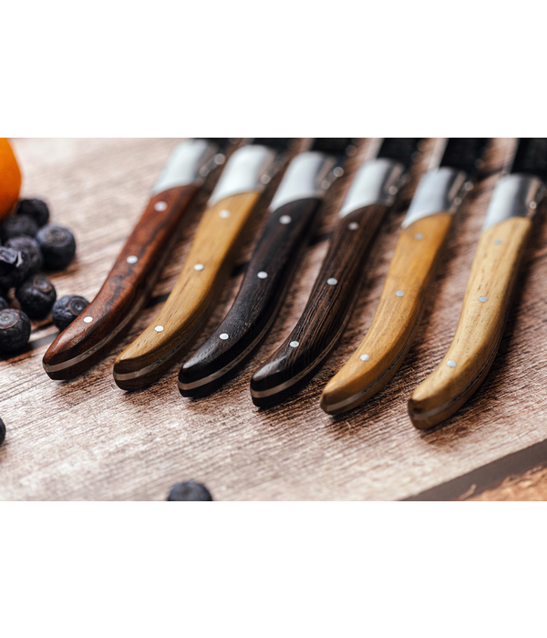 Laguiole du Monde Set of 6 steak knives with assorted wood handles